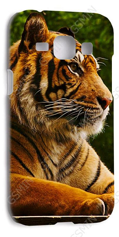 -  Samsung Galaxy J1 (J100H) () ( 174)