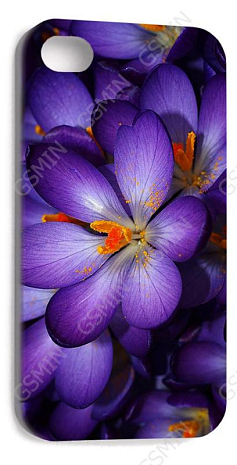 -  Apple iPhone 4/4S () ( 158)