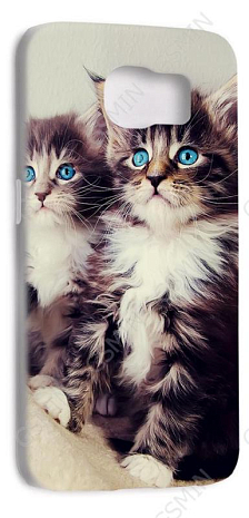 -  Samsung Galaxy S6 G920F () ( 164)
