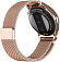   GSMIN WP33s      ( )