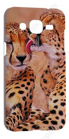 -  Samsung Galaxy J2 () ( 172)